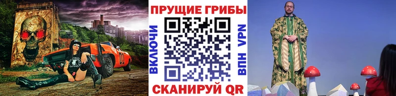 Псилоцибиновые грибы GOLDEN TEACHER  Зубцов 